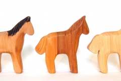 IMG_0010